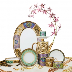 Versace Rosenthal Meets Butterfly Garden Dinnerware