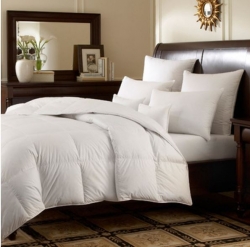 Downright Logana Comforters - Siberian White Goose Down