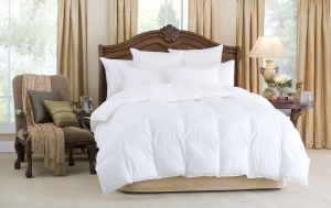 Downright Nirvana Comforters Queen Comforter - Winter Weight / 43oz